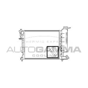 100213 AUTOGAMMA