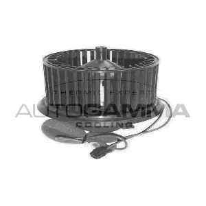 AUTOGAMMA GA31000