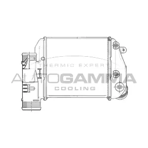 103767 AUTOGAMMA