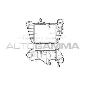 103637 AUTOGAMMA