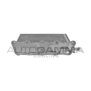 107772 AUTOGAMMA
