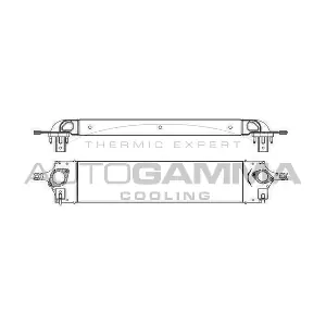 105557 AUTOGAMMA