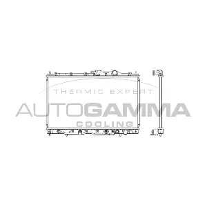 101133 AUTOGAMMA