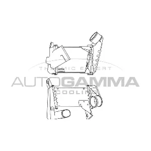 101960 AUTOGAMMA