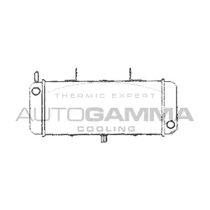 103870 AUTOGAMMA
