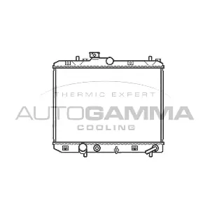 105607 AUTOGAMMA