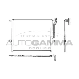 102606 AUTOGAMMA