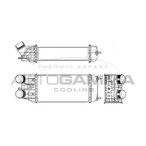 105995 AUTOGAMMA