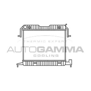 102238 AUTOGAMMA