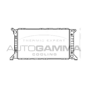 102091 AUTOGAMMA