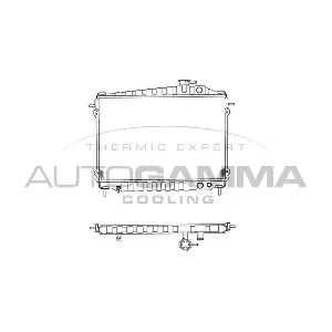 102101 AUTOGAMMA