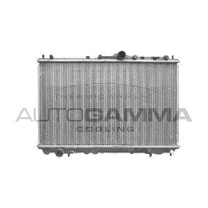 102384 AUTOGAMMA