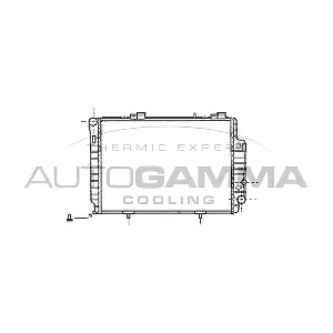 101379 AUTOGAMMA