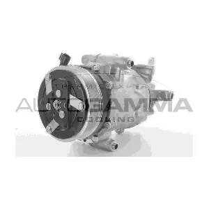 118443 AUTOGAMMA