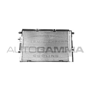 107170 AUTOGAMMA