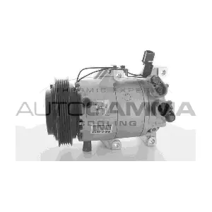 108695 AUTOGAMMA