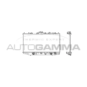 100420 AUTOGAMMA