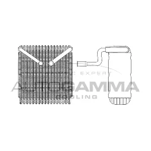 AUTOGAMMA 112105
