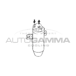 106037 AUTOGAMMA