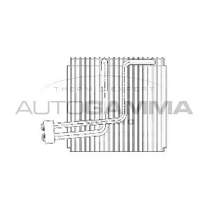 112144 AUTOGAMMA