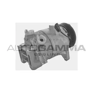 AUTOGAMMA 118635
