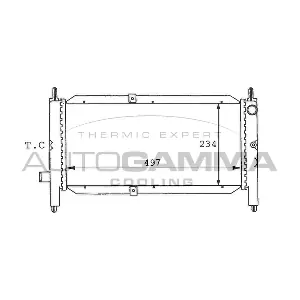 100920 AUTOGAMMA