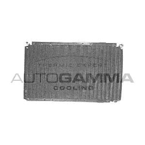 105003 AUTOGAMMA