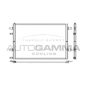 107202 AUTOGAMMA
