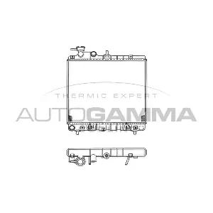 102125 AUTOGAMMA