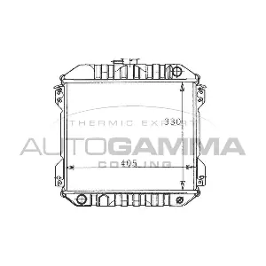 100617 AUTOGAMMA