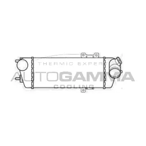 105868 AUTOGAMMA