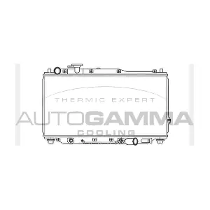 104031 AUTOGAMMA