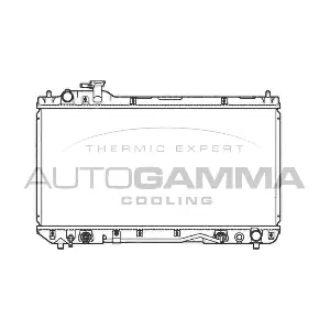 107189 AUTOGAMMA