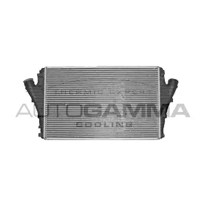 104043 AUTOGAMMA