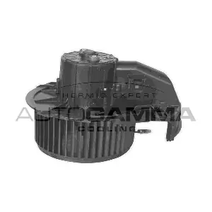 GA20047 AUTOGAMMA