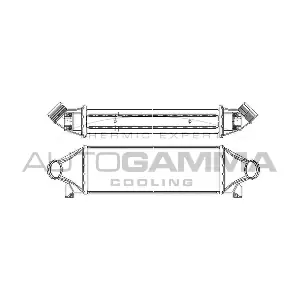 103098 AUTOGAMMA