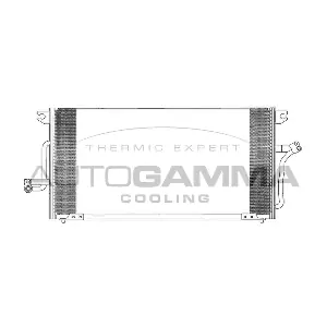 102714 AUTOGAMMA