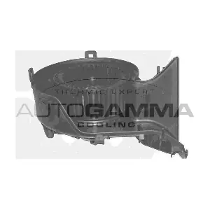 GA20363 AUTOGAMMA