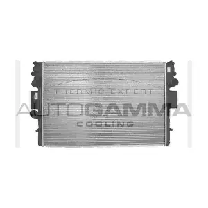 103333 AUTOGAMMA