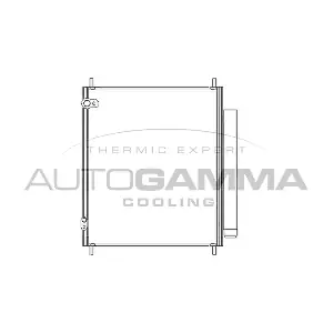 107294 AUTOGAMMA