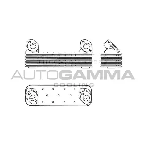 303710 AUTOGAMMA