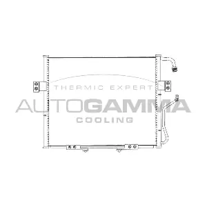 105717 AUTOGAMMA