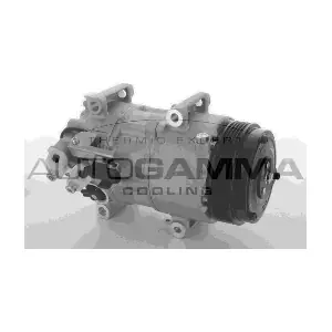108898 AUTOGAMMA