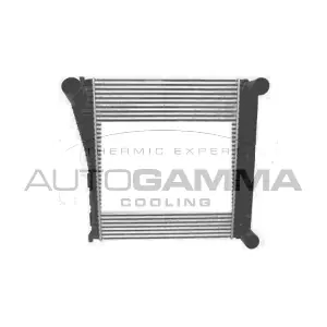 107704 AUTOGAMMA