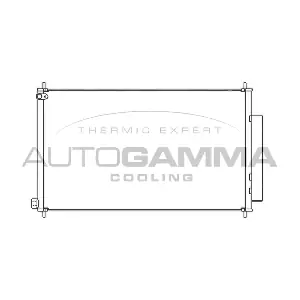 105961 AUTOGAMMA