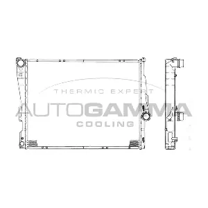 101126 AUTOGAMMA