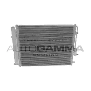 107385 AUTOGAMMA