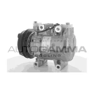 108939 AUTOGAMMA