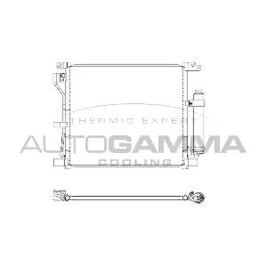 107276 AUTOGAMMA
