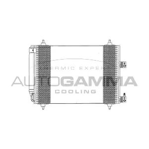 103116 AUTOGAMMA